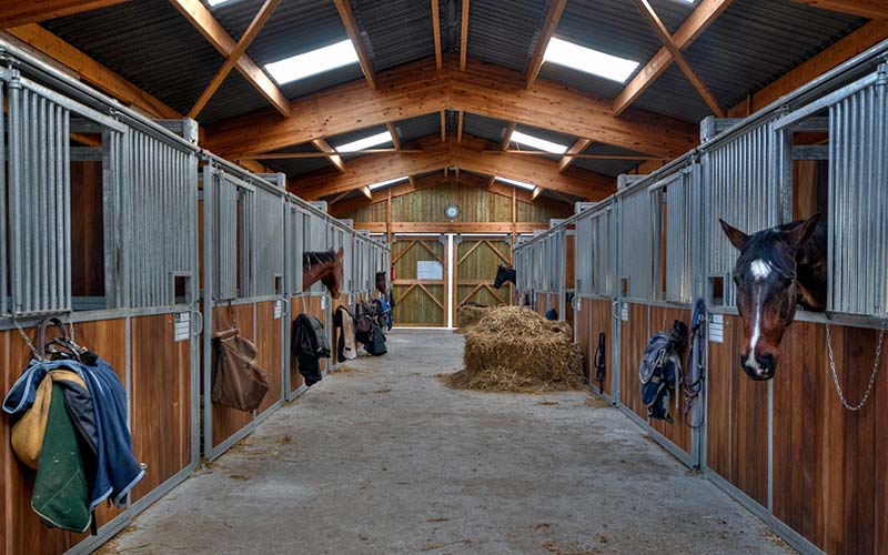 Equine Supplier Lancaster