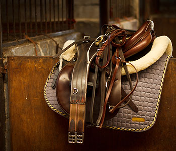 Equine Supplier Lancaster