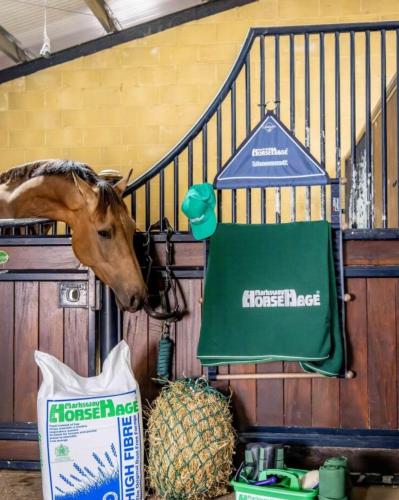 Horse Hage in store