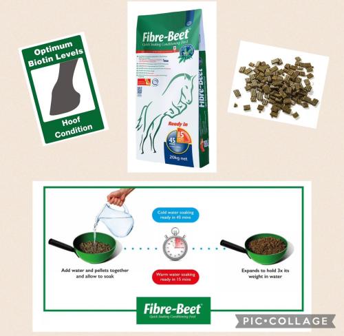 Fibre Beet in store