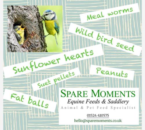 Wild bird food selection