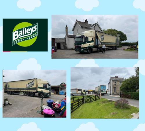 Baileys Horse Feeds